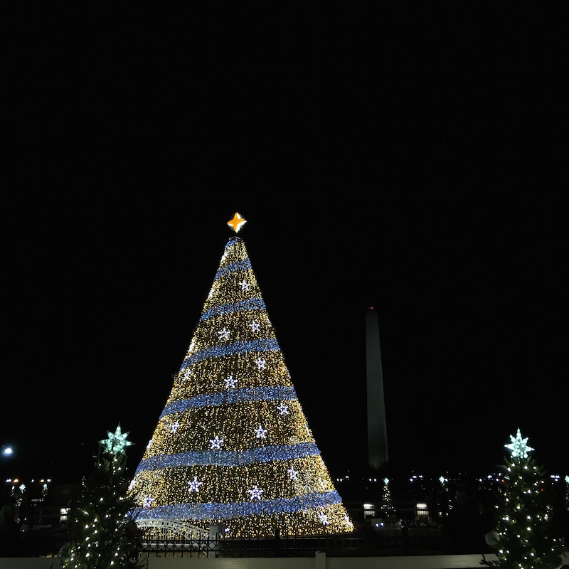 National Christmas Tree Adventures in DC